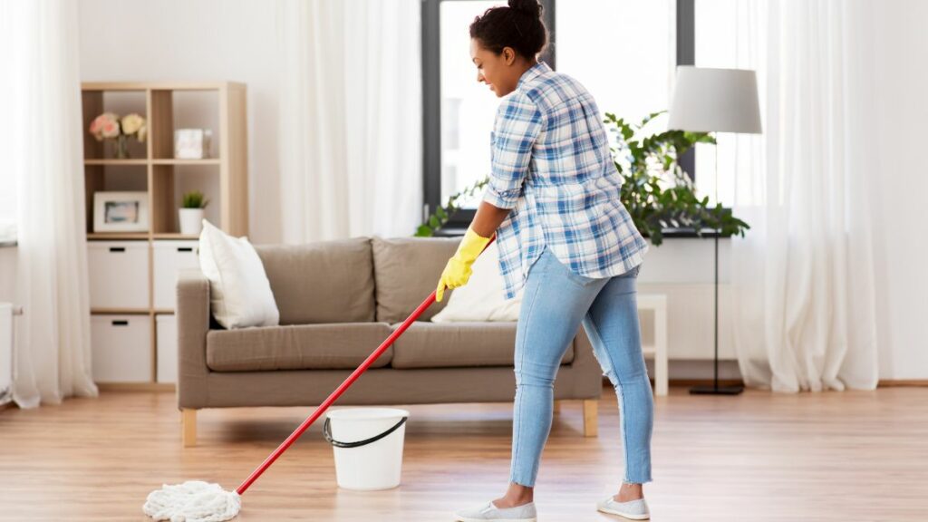 House Cleaning in Miami, FL