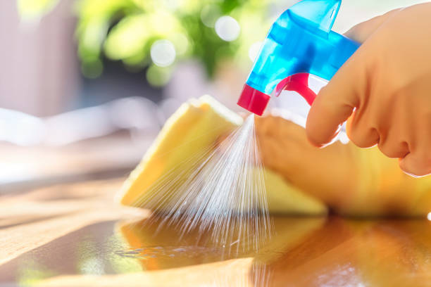 Tips On Maintaining a Clean Home
