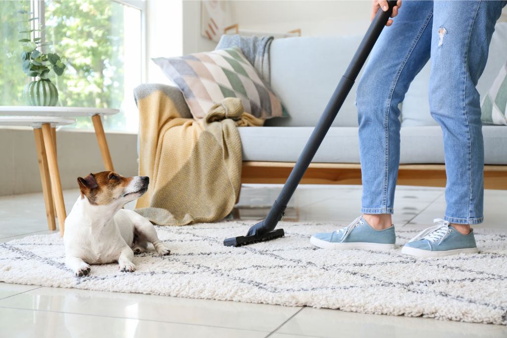 Tips to get cleaning services in Miami